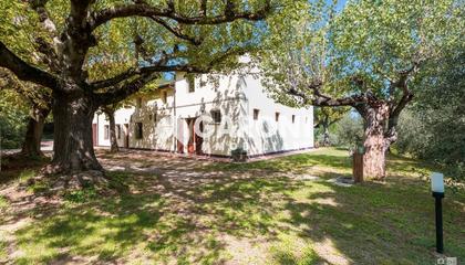 Rustico / Casale Faenza (RA) Campagna Monte